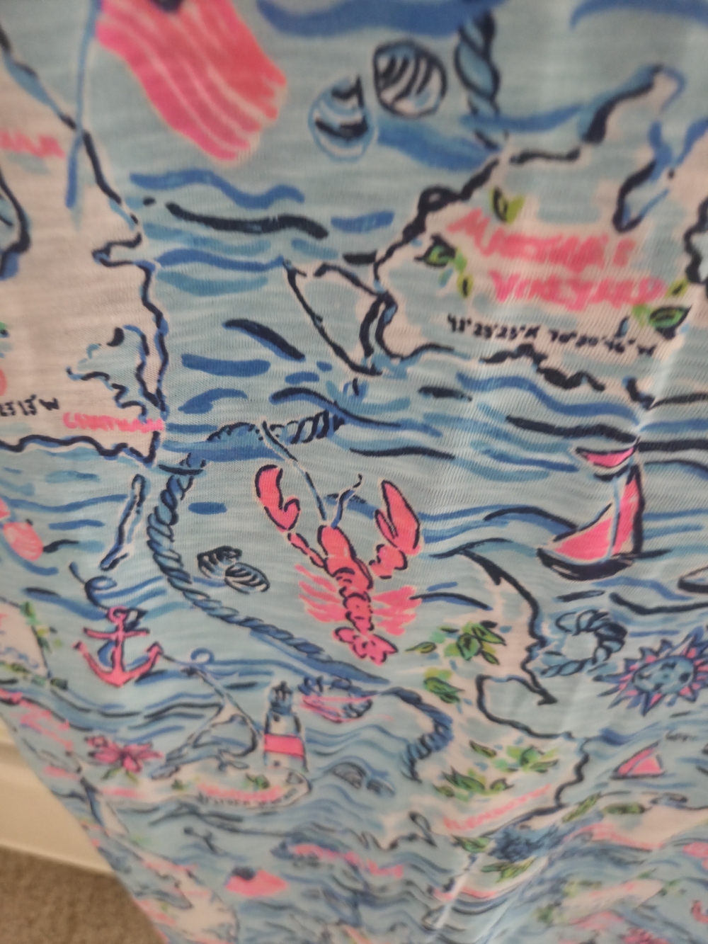 Lilly Pulitzer- Lilly Loves Cape Cod - Picture 6 of 6